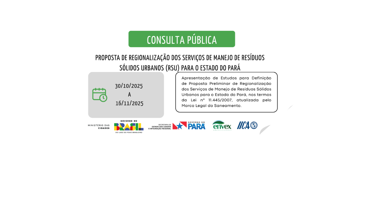 consulta pública